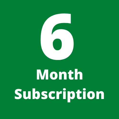 6 Month Subscription